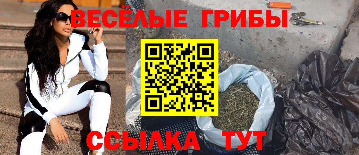 Галлюциногенные грибы GOLDEN TEACHER  Галлюциногенные грибы прущие грибы  Ртищево  Вход с VPN 